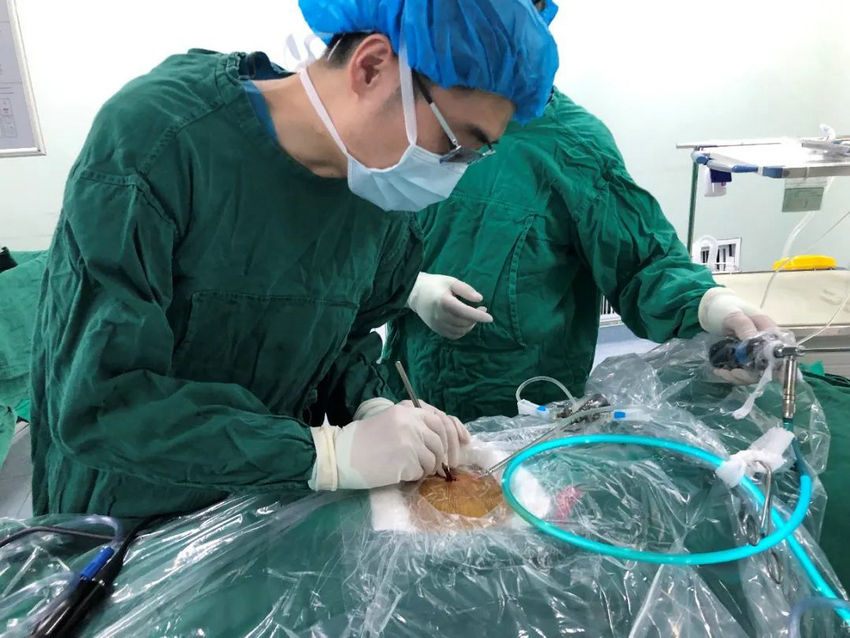 640_副本 640_副本