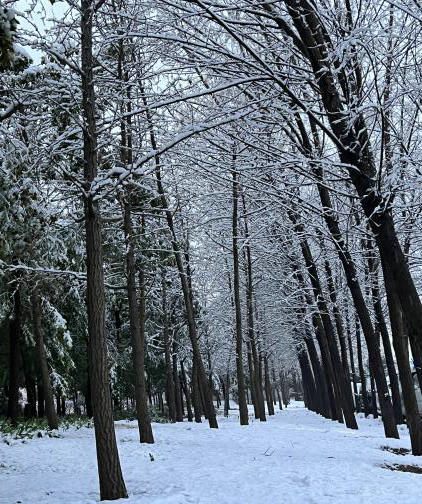 image005_副本 image005_副本