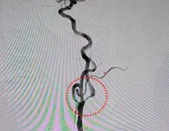 640.webp (2) 640.webp (2)