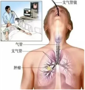 QQ截图20240716162206_副本