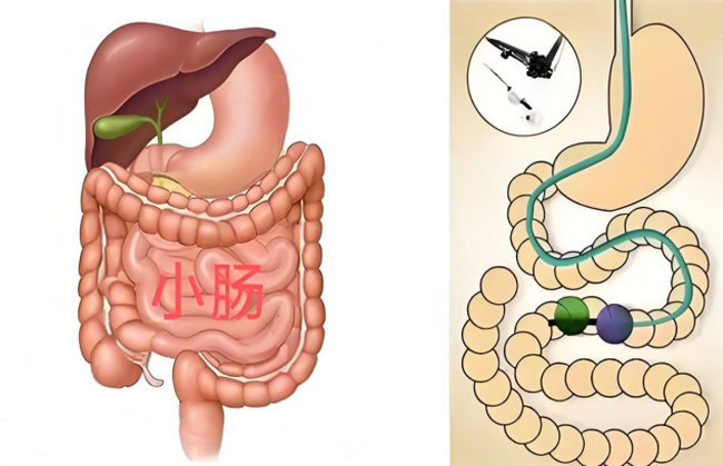 image001_副本 image001_副本