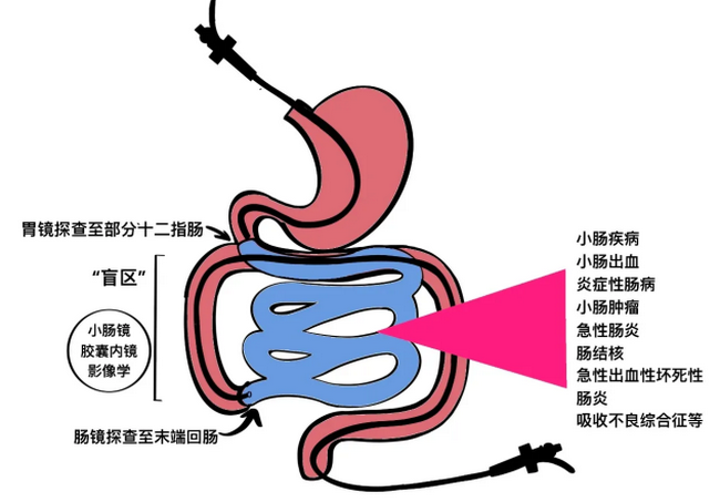 image002_副本 image002_副本