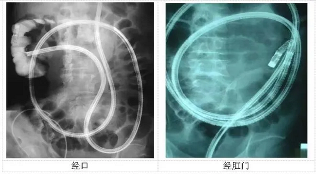 image003_副本 image003_副本