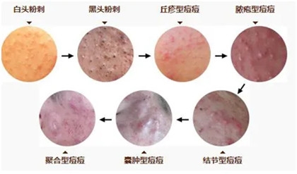 640 (3)_副本 640 (3)_副本