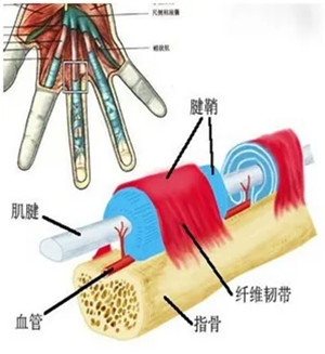 640 (2)_副本 640 (2)_副本