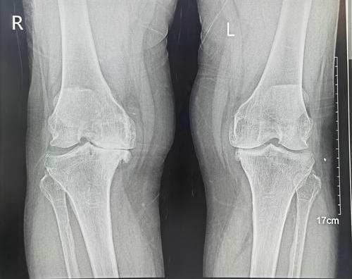 image005_副本 image005_副本