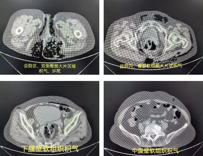 QQ截图20241009112859 QQ截图20241009112859