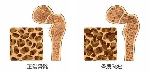 640 (1)_副本 640 (1)_副本