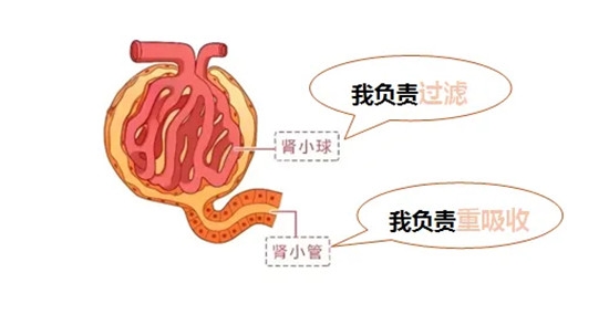 640 (1)_副本 640 (1)_副本
