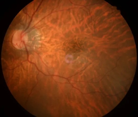 640 (3)_副本 640 (3)_副本