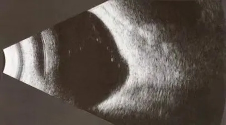 640 (5)_副本 640 (5)_副本