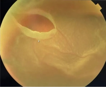 640 (6)_副本 640 (6)_副本
