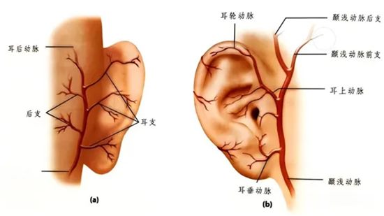 640 (3)_副本 640 (3)_副本