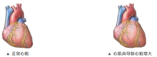 QQ截图20250113081955_副本 QQ截图20250113081955_副本