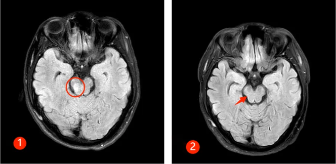 QQ截图20250124084447 QQ截图20250124084447