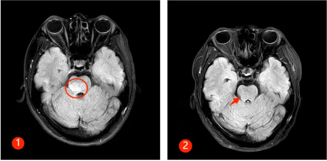 QQ截图20250124084457 QQ截图20250124084457