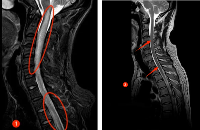 QQ截图20250124084507 QQ截图20250124084507