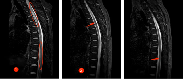 QQ截图20250124084520 QQ截图20250124084520
