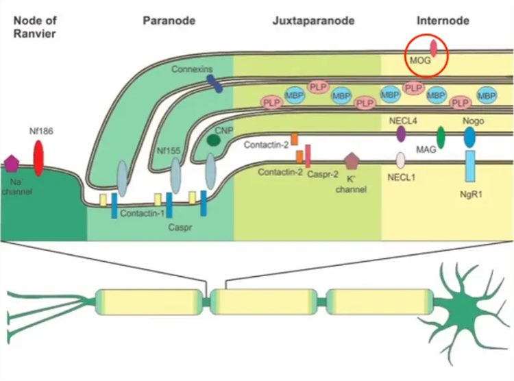 640 (6)_副本 640 (6)_副本