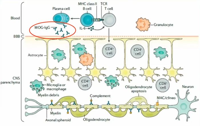 640 (7)_副本 640 (7)_副本