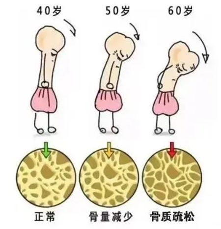 640 (2)_副本 640 (2)_副本