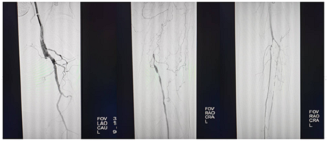 微信图片_20250225185417 微信图片_20250225185417