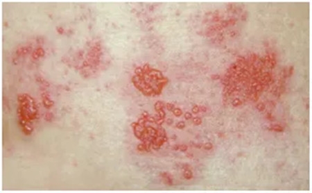 640_副本 640_副本