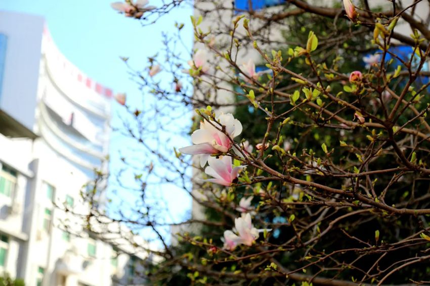 640 (1)_副本 640 (1)_副本