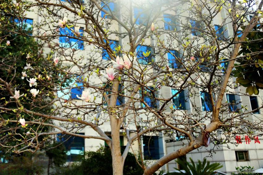 640 (2)_副本 640 (2)_副本