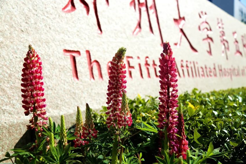 640_副本 640_副本