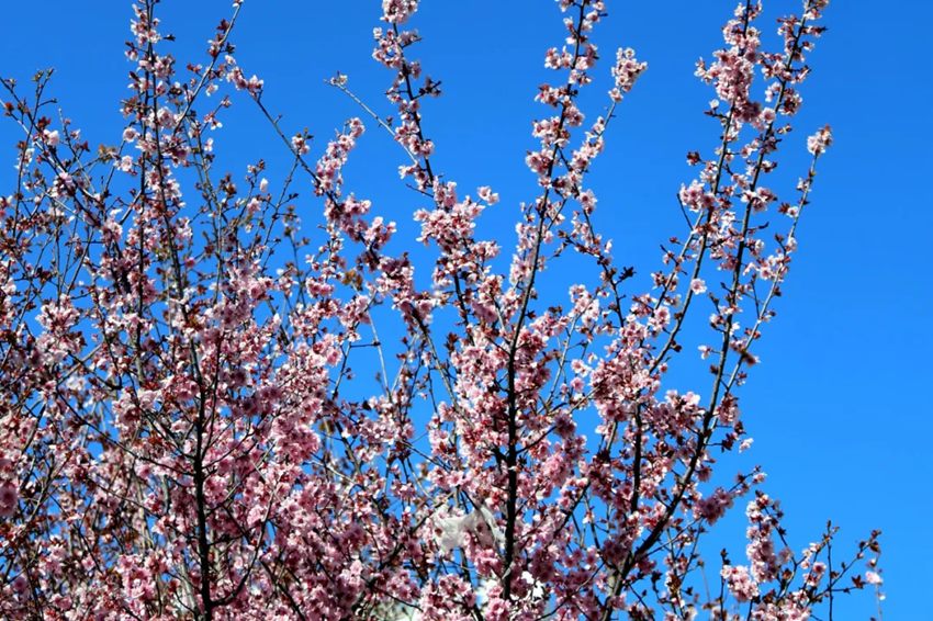 640 (4)_副本 640 (4)_副本