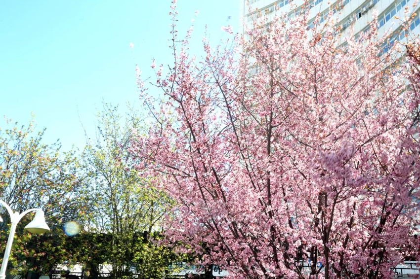 640 (6)_副本 640 (6)_副本