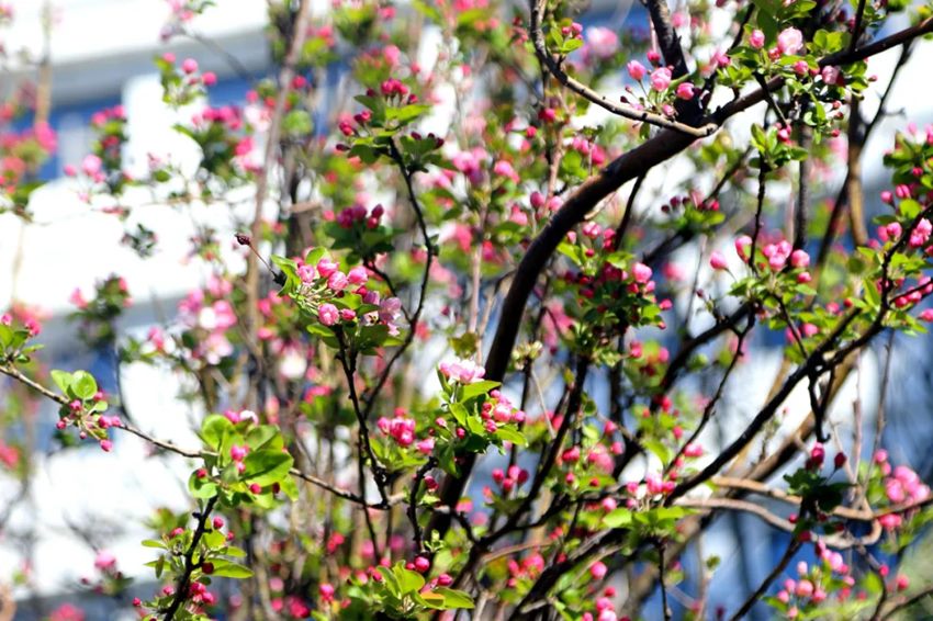 640 (7)_副本 640 (7)_副本