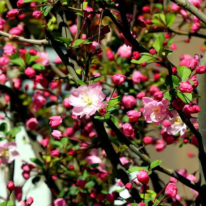 640 (8)_副本 640 (8)_副本