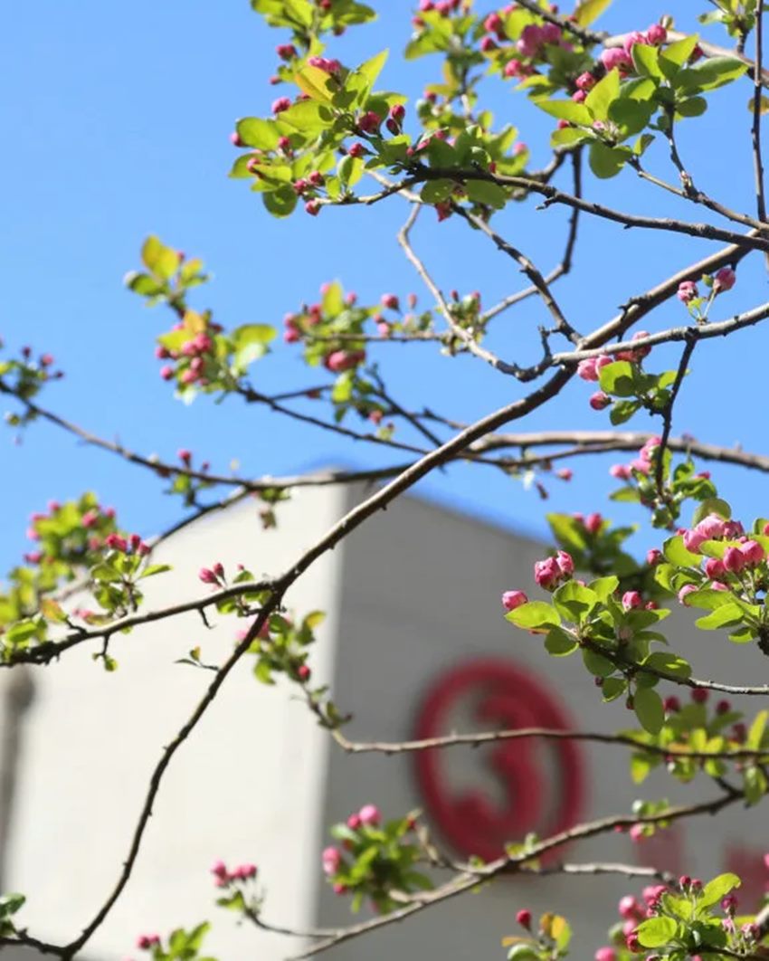 640 (9)_副本 640 (9)_副本