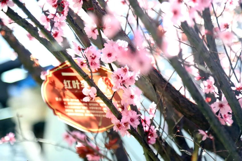 640 (10)_副本 640 (10)_副本