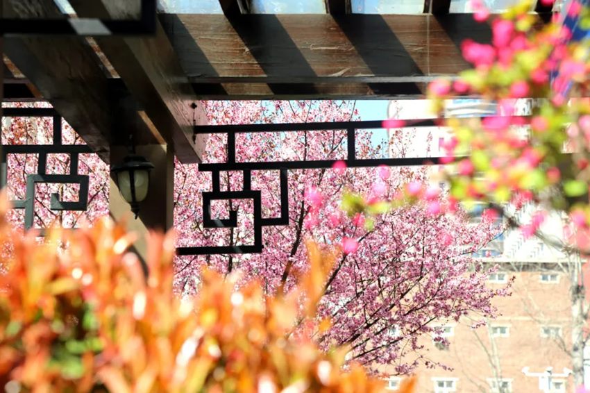 640 (11)_副本 640 (11)_副本