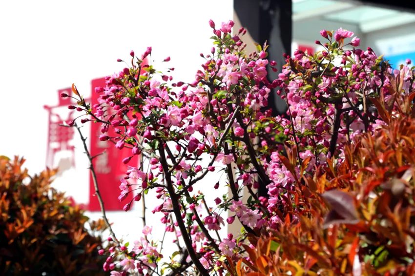 640 (13)_副本 640 (13)_副本