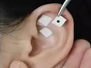 640 (3)_副本 640 (3)_副本