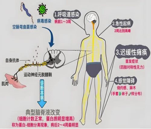 640 (2)_副本 640 (2)_副本