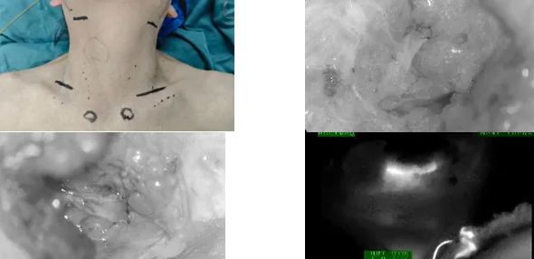 QQ截图20250408084856 QQ截图20250408084856