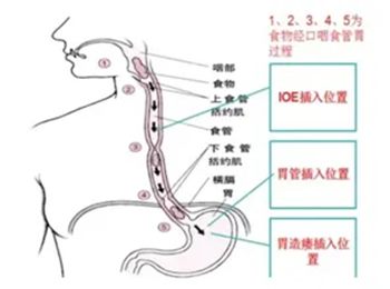 640 (1)_副本 640 (1)_副本
