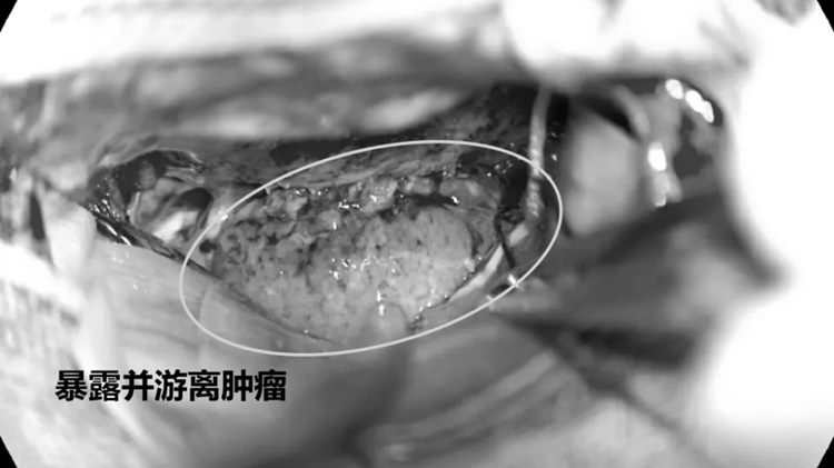 640 (1)_副本 640 (1)_副本