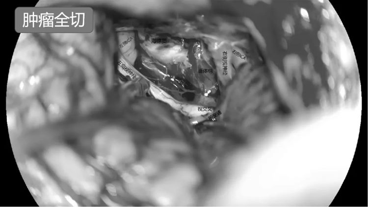 640 (5)_副本 640 (5)_副本