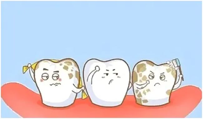 640_副本 640_副本