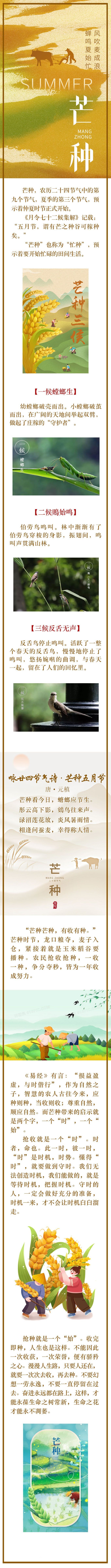 芒种：风吹麦成浪 蝉鸣夏始忙