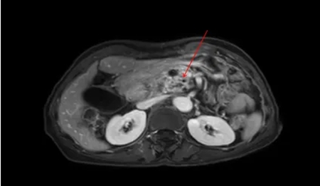 640_副本 640_副本