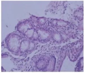 640 (2)_副本 640 (2)_副本