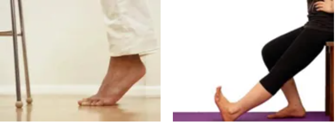 QQ截图20250717084739