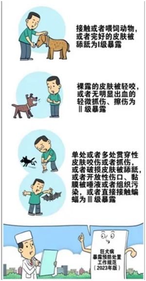 640_副本 640_副本